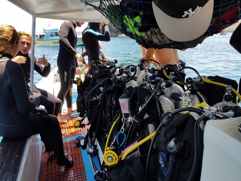 scuba-diving-courses