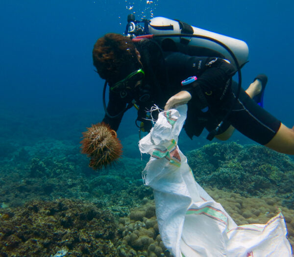 Bali Dive | Mola Mola Dive | Dive indonesia