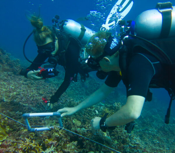 Bali Dive | Mola Mola Dive | Dive indonesia