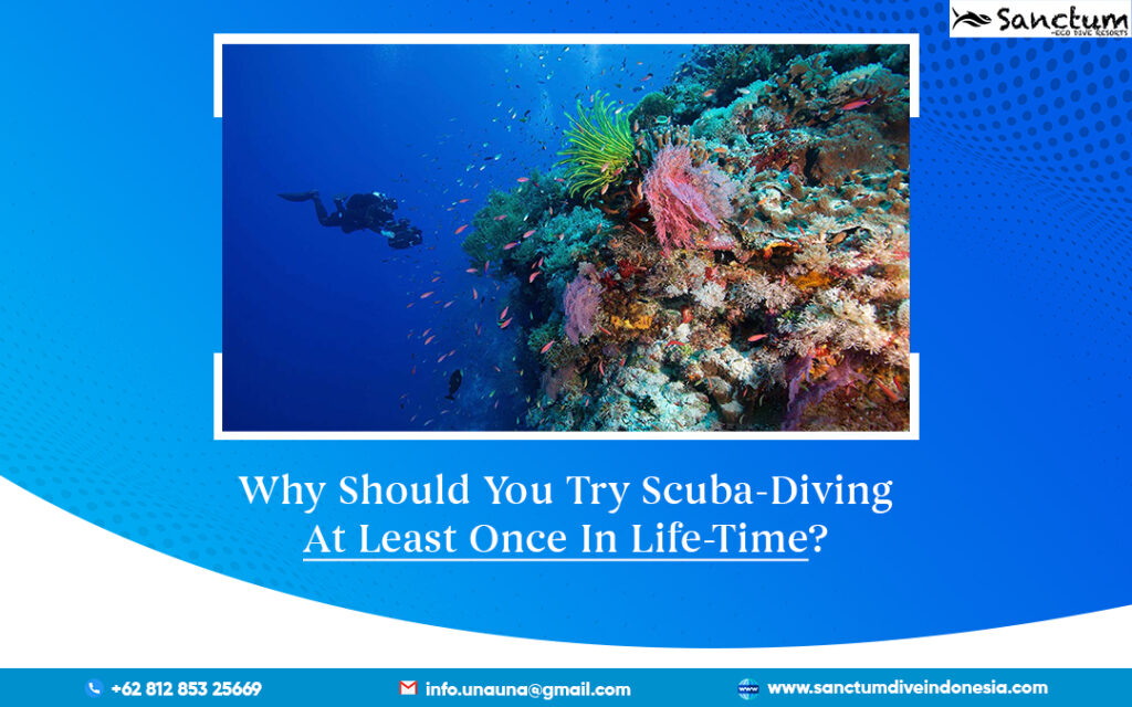 Why Should You Try Scuba Diving At Least Once In Life Time 8633