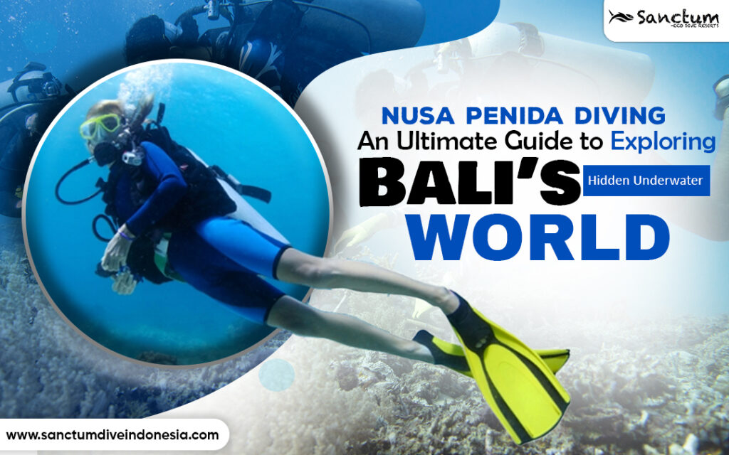 Nusa Penida Diving: An Ultimate Guide to Exploring Bali’s Hidden ...